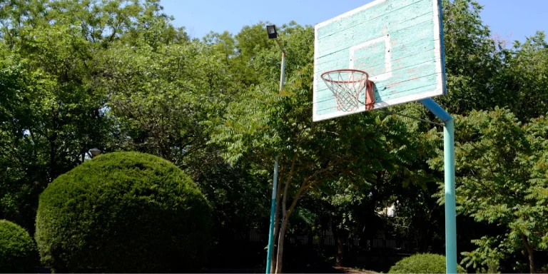 7 Best In-Ground Basketball Hoops