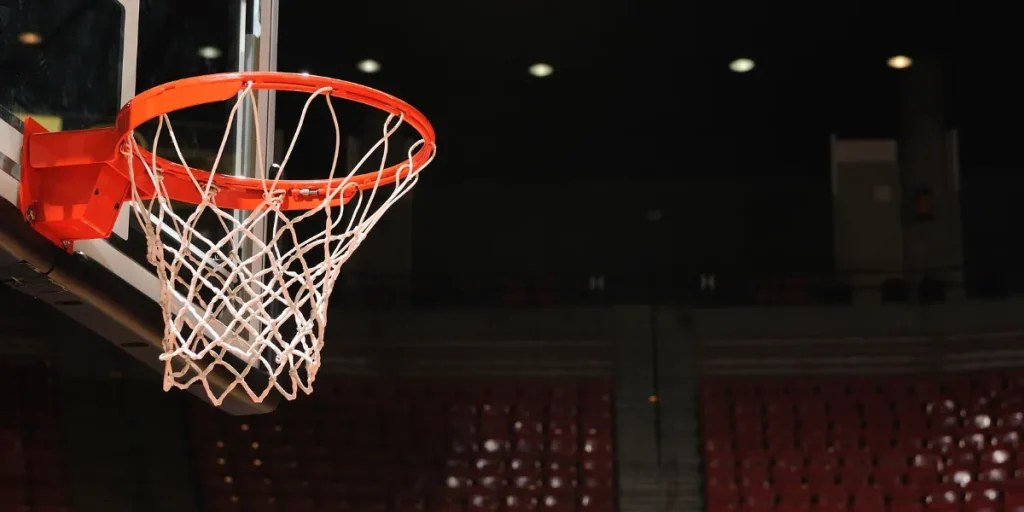 NBA Basketball Net